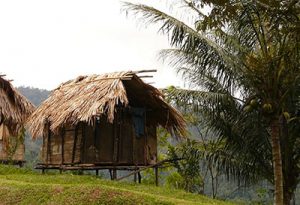bamboo house on stilts