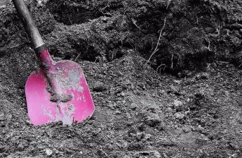 shovel in the dirt