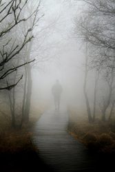 man walking in fog