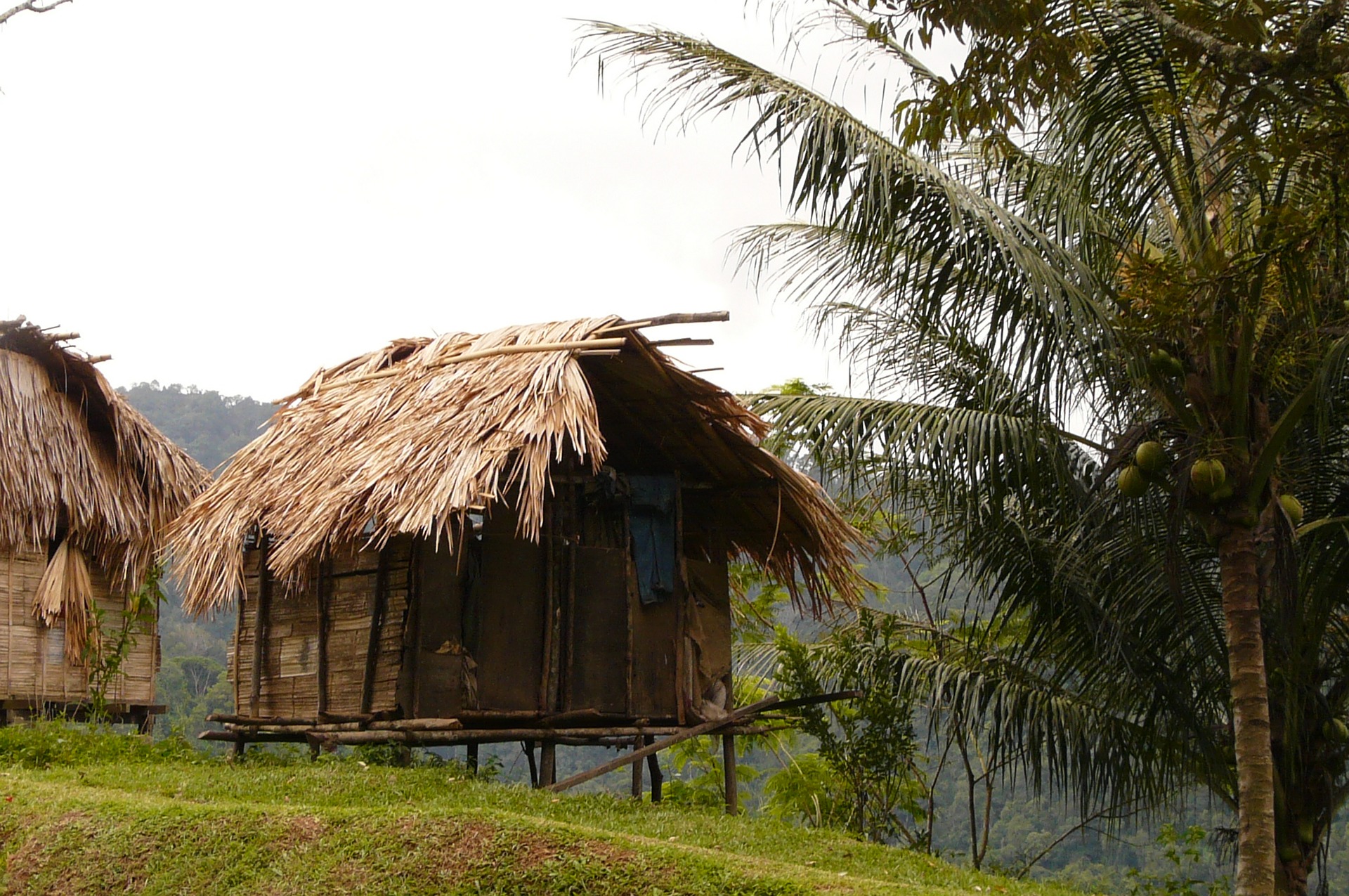 rustic house on stilts