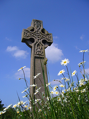 Celtic cross in a field of daisies