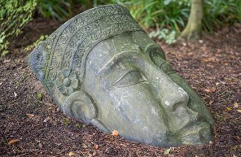 Buddha statue head on the ground