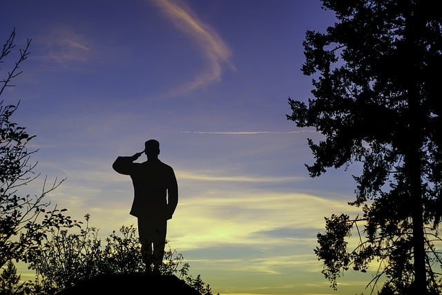 silhouette of man saluting